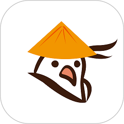 官网与体育官网的区别及其重要性